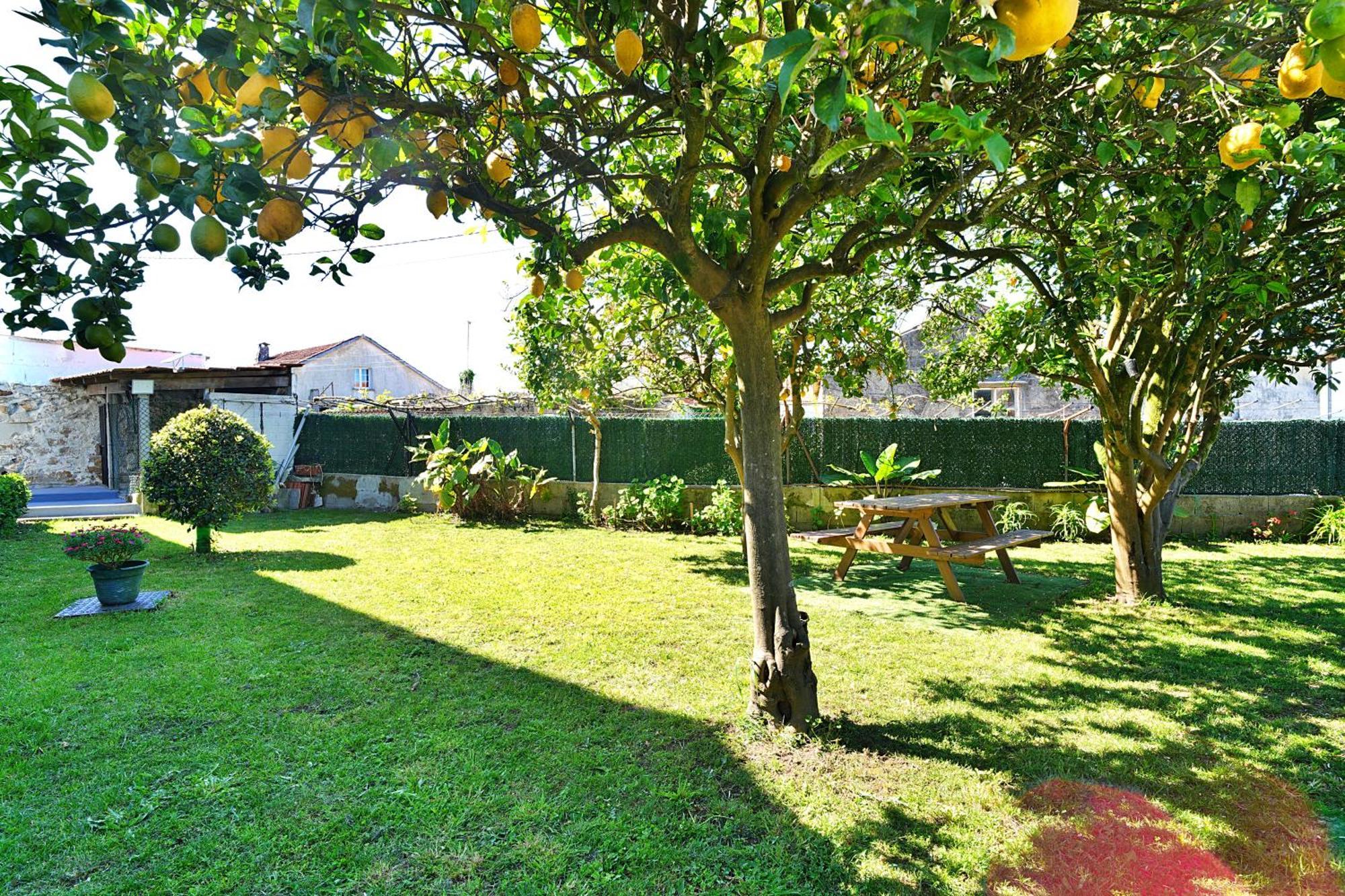 Casa Con Jardin En Vilanova De Arousa Pontevedra Extérieur photo